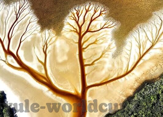 炸金花微信透视授权码-透视微信炸金花，授权码背后的秘密