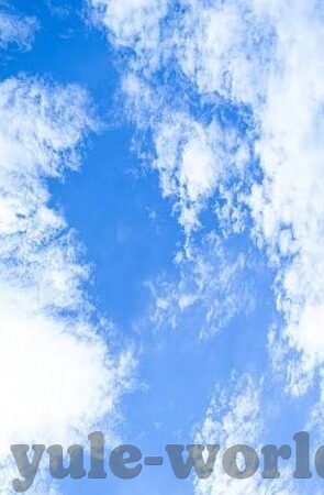 足球比分网 捷报-深度揭秘，足球比分网捷报背后的数据江湖与球迷狂欢